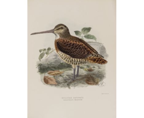Birds.- Seebohm (Henry) The Geographical Distribution of the Family Charadriidae, or the Plovers, Sandpipers, Snipes..., firs