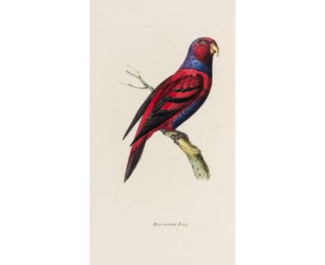 Birds.- Swainson (William) Zoological Illustrations,, 6 vol. (i.e.1st and 2nd series), 182 and 136 hand-coloured lithographs 
