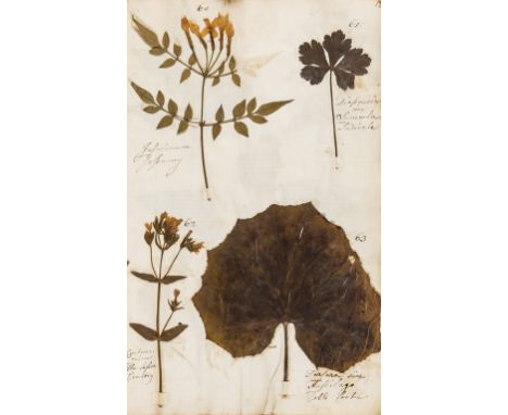 NO RESERVE Herbarium.- I. (E.) Album containing dried and pressed specimens of British plants, 222 specimens on 44 pages, all