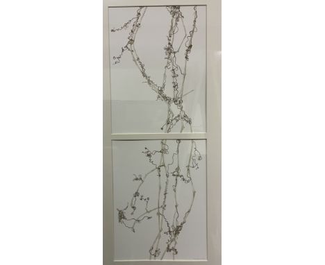 ANNIE FARRER (B. 1950) "Stems and tendrils", colour print, signed in pencil and dated 2002 lower right, as two pictures, 79 c