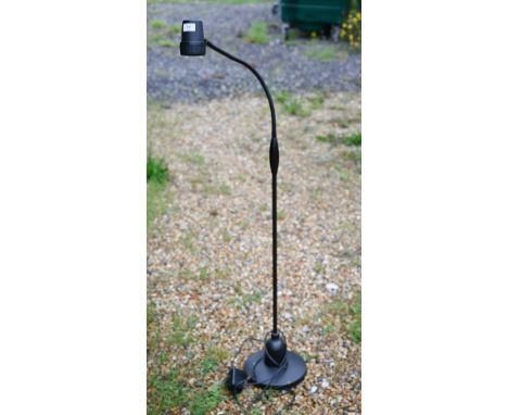 An Ask Serious Reader's floor lamp 