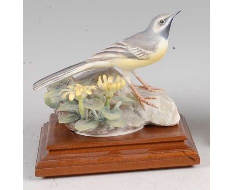 A Worcester porcelain model of a grey wagtail and celadine, modelled by Dorothy Doughty, No.182, titled 'Motacilla Melanope a