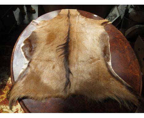VINTAGE ANIMAL SKIN RUG