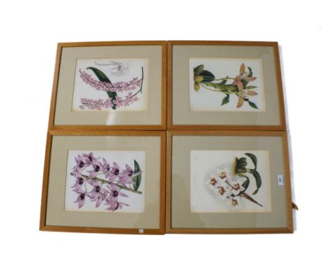 Four reproduction botanical prints. Including 'Odontoclossum Cervanteii', Aerides Lobbii' etc, 30cm x 23cm, framed and glazed