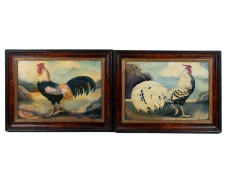 Alexandra Churchill (British), a pair of glazed prints of cockerels. 38cm x 26cm. Framed