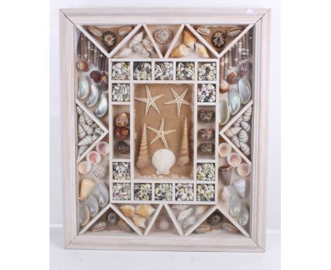 A contemporary seashell collage collection. 48cm x 58cm. Framed and glazed.