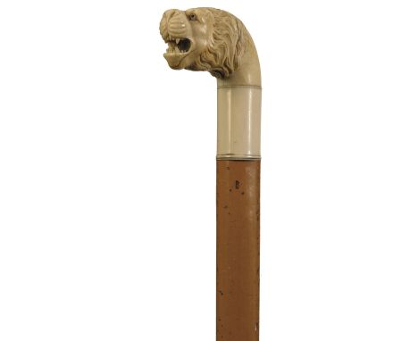 A LATE 19TH CENTURY WALKING STICK, the ivory handle carved as the head of a lion, malacca haft, bone ferrule, 86.5cm long ove