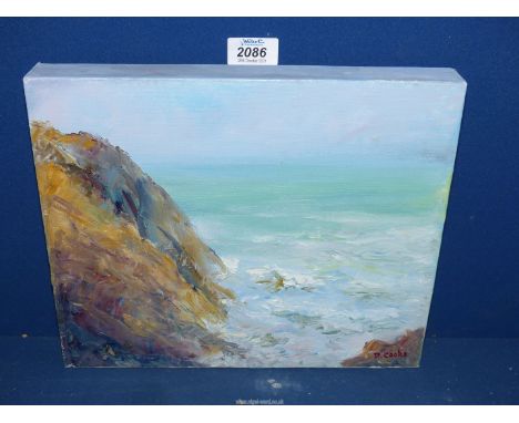 An unframed Oil on canvas depicting a seascape, signed lower right D. Cooke, 12" x 10".