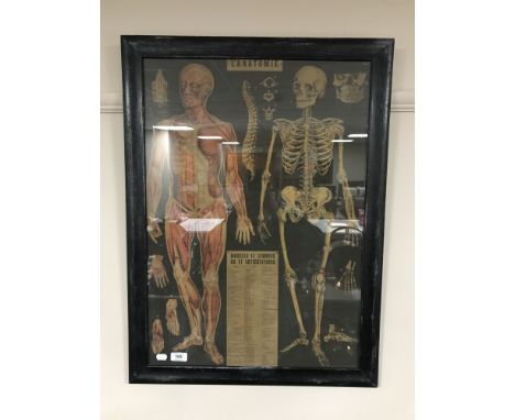 A framed French human anatomy poster, framed black & white photo of a steam train, framed picture mirror of the Flying Scotsm