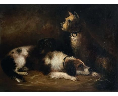 Conradyn CUNAEUS (1828-1895) Dogs at Rest  Oil on canvas, 63 x 84cm. 85 x 108cm framed.Under UV light there is evidence of so