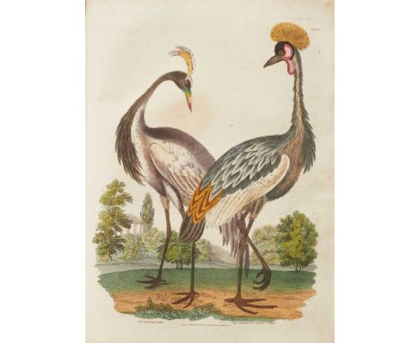 London: R. Evan, 1817, 2 volumes, 4to, engraved portrait in both volumes, and 51 (of 52) hand-coloured plates