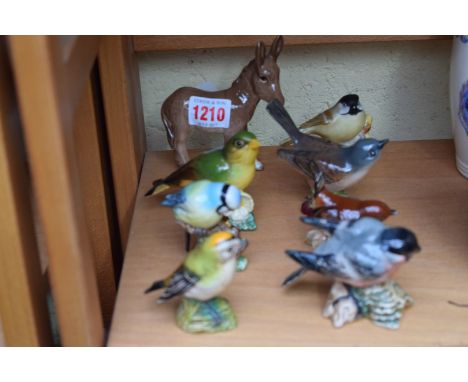 Six Beswick birds; together with a Royal Worcester bird; and a Beswick donkey.   Condition Report:  All birds have chipped be