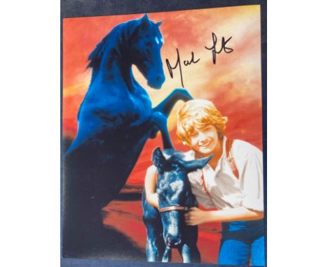 Black Beauty Mark Lester signed 10 x 8 inch colour photo. English osteopath, and acupuncturist, formerly a child actor, who s