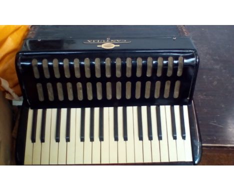 Cantulia accordion  