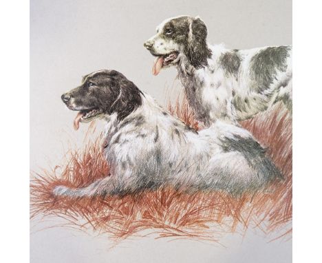 Spencer Roberts, colour print, Spaniels, signed in pencil, no. 8/500, sheet size 19" x 27", unframed 