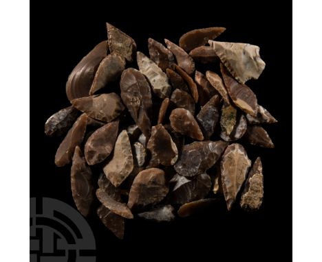 Neolithic Period, circa 8th-5th millennium B.C. Comprising mostly leaf-shaped flint and chert arrowheads, including one tange