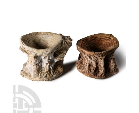 Upper Palaeocene Period, circa 56 million years B.P. Comprising two Otodus obliquus, Agassiz 1843 (mackerel shark) vertebrae.