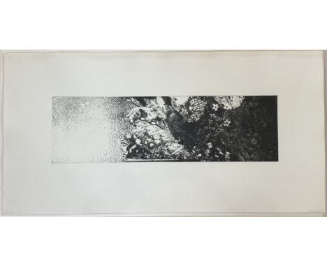 Helen Douglas (Scottish b-1952), Landscape with unicorn, embossed etching 11/20, signed pencil and titled bellow, in a glazed