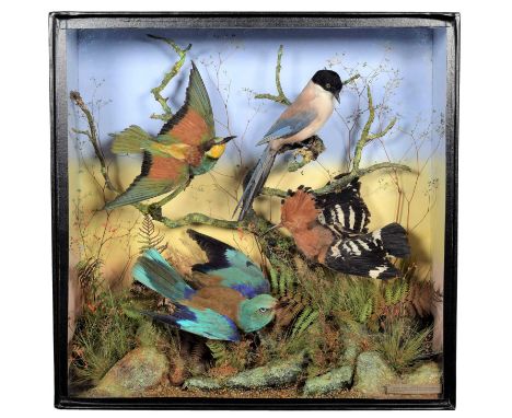 Taxidermy: A Late Victorian Cased Diorama of Exotic Birds, dated 1878, Spain, by James Gardner, 1844-1917, Bird &amp; Animal 