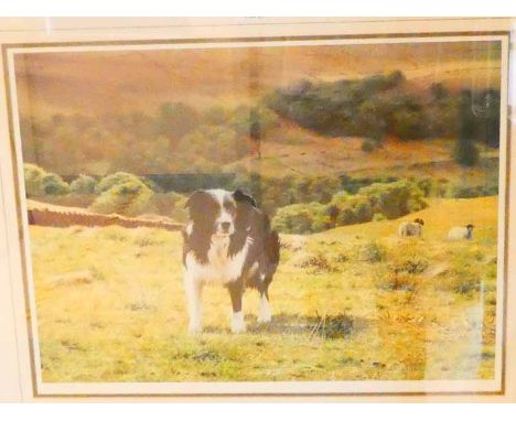 Steven Townsend, a signed limited edition print, 414/600 Ben's Valley