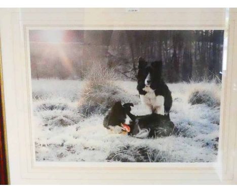 Steven Townsend, a signed limited edition print, 116/650 Early Light