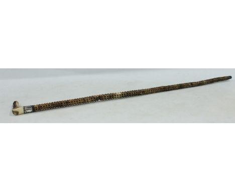 A late 19th century vertebrae walking stick, silver collar, antler handle, 88cm 