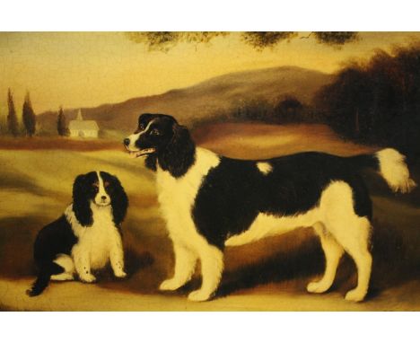 Alexandra Churchill. Lithograph. Two English Springer Spaniels. Signed lower right in the plate. H.39 W.51cm. 