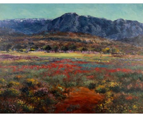 Peter Jander (South African, b.1954) - 'West Coast Flowers - Cape, SA', oil on Masonite, signed lower right, 90.5 x 70 cm, fr