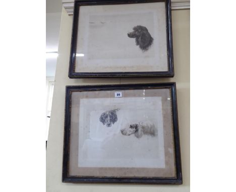 Poodle and spaniel portrait prints - Maud Earl (2)(Please note we believe signatures are facsimile rather than pencil signed 