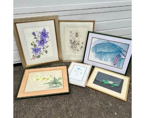 Botanical pictures; a range of six framed original Botanical artworks.Includes; Ann Farrer Himalayan Blue pine limited editio