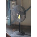 Dayton Pedestal Fan | (High Rise 2)