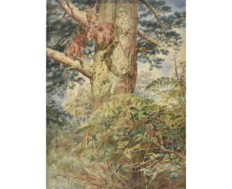 * Walton (Elijah, 1832-1880). "Sketch from nature. King's Heath Pool", watercolour on thick paper, laid down on card, depicti