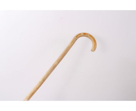 19th century pizzle walking stick, believed to be Rhino, with ivory collar and wooden ferrule, 88cm long