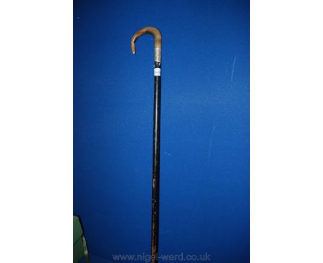 A Horn handled Walking Stick with silver band.