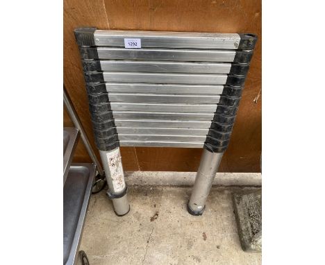 A TELESCOPIC 12 RUNG LADDER 