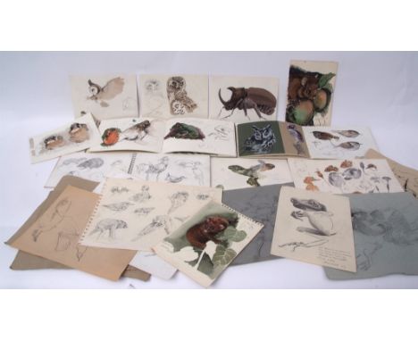 ALISTAIR HARDY (MID-20TH CENTURY) Bird and Natural History sketches collection of three sketch books and some loose various s