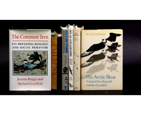 BRYAN NELSON: THE GANNET, T &amp; A D Poyser, 1978, 1st edition, original cloth, dust-wrapper + KLAUS MALLING OLSEN &amp; HAN
