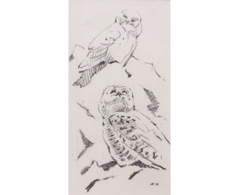 AR JOHN BUSBY, SWLA (born 1929) "Two Snowy Owls" pencil sketch, initialled and dated 99 lower right 23 x 12cms 