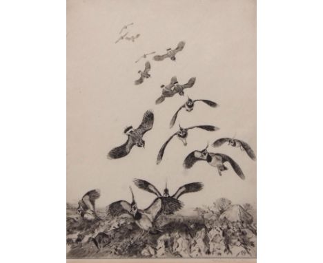 AR WINIFRED MARIE LOUISE AUSTEN (1876-1964) "Lapwings" black and white etching, signed in pencil to lower margin 30 x 23cms 