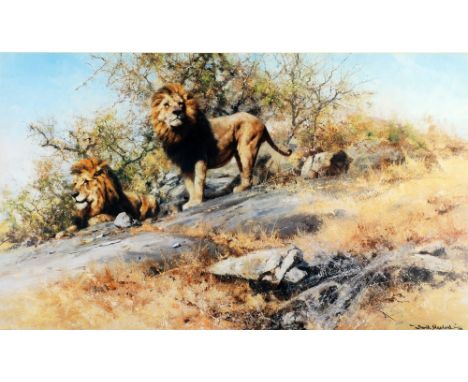 DAVID SHEPHERD (b. 1931) ARTIST SIGNED LIMITED EDITION COLOUR PRINT No. 1285/1500 'The Two Gentleman of Savuti' 16" x 27" (45