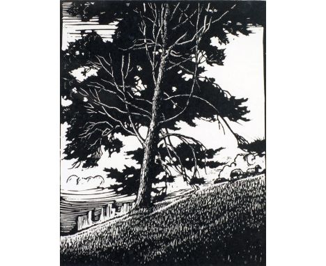 THOMAS B PITFIELD PAIR OF WOODCUTS IN BLACK AND WHITE 'Scots Pine' and 'Millingtonias' Signed and titled in pencil 11 1/4" x 