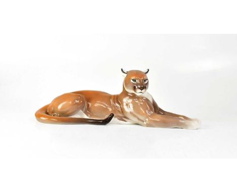 NYMPHENBURG; a porcelain model of a reclining mountain lion, numbered 560, painted 'EP' near base of tail, with printed and i
