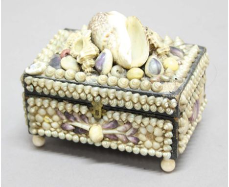 LATE VICTORIAN SHELL MOUNTED CASKET, of rectangular form applied with various shells and on turned bone or ivory ball feet, h