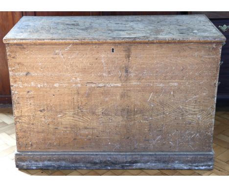 An uncommonly large Victorian oak-scumbled pine country house trunk / chest, having a hinged lid enclosing two lift out trays