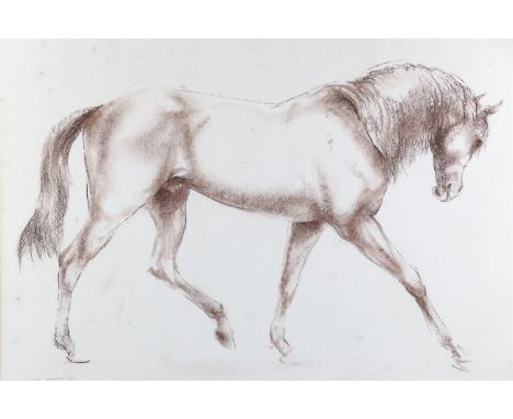 John Rattenbury Skeaping (1901 - 1980) A equestrian study of a horse, soft pastel, signed and dated 1973, in pen lined and wa