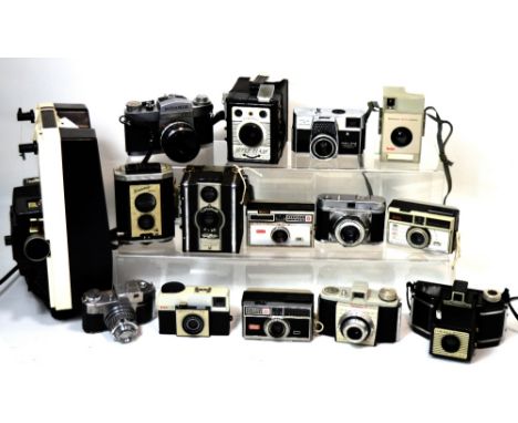 A large collection of vintage cameras, many cased and a Hanimex projector.