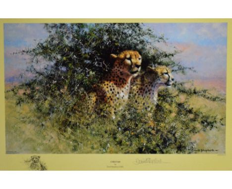 After David Shepherd OBE (1931-): a colour lithograph 'Cheetah', limited edition no.299/1500, signed in pencil to margin, app