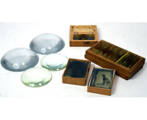 Two boxed sets of biological slides, 19th century and later and a selection of early photographic negative glass plates for l