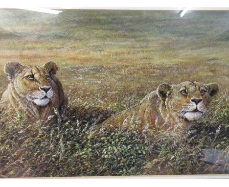 Michael Kitchen-Hurle, acrylic on board, ' Hunting Lionesses ', 1990, gilt framed 