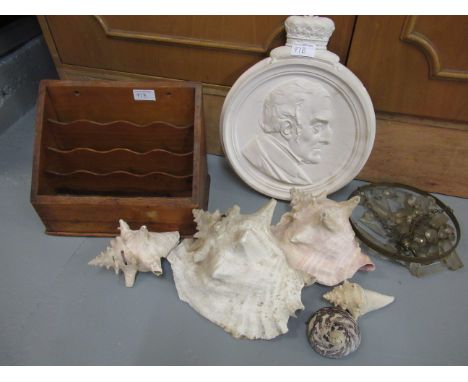 19th Century desktop stationery box, plaster wall plaque, bag light fitting and a quantity of large seashells 